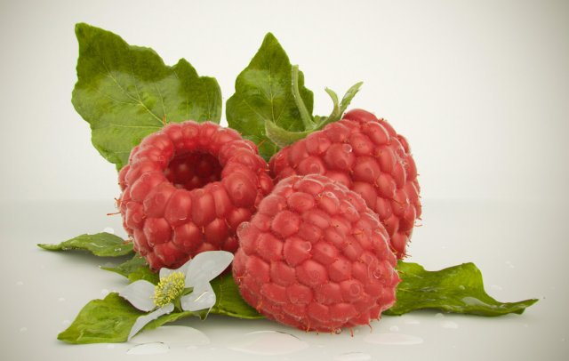high quality raspberry model 3D मॉडल .c4d .max .obj .3ds .fbx .stl .blend 