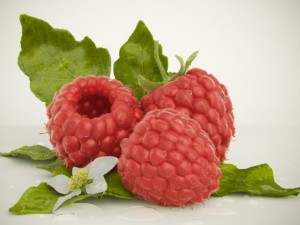 high quality raspberry model 3D-Modell