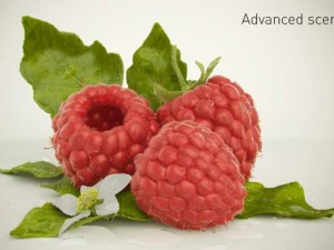 high quality raspberry model 3D Model