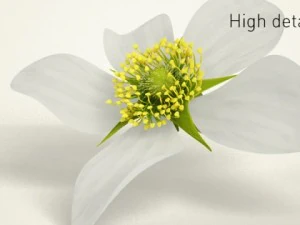 high quality raspberry model 3D Model