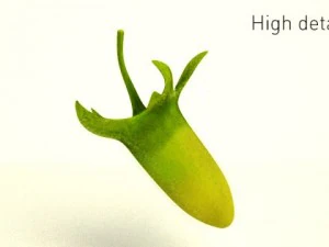 high quality raspberry model 3D Model