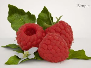 high quality raspberry model 3D Model