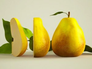 pere iper realistiche Modello 3D