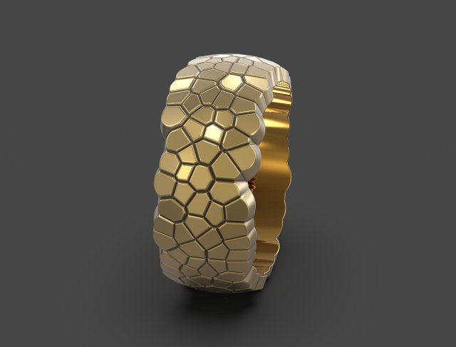 ring geometric shape voronoi 3Dプリントモデル .c4d .max .obj .3ds .fbx .stl .blend 