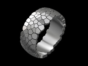 ring geometric shape voronoi 3Dプリントモデル