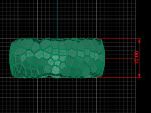 ring geometric shape voronoi 3Dプリントモデル