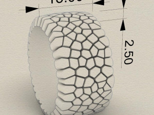 ring geometric shape voronoi 3Dプリントモデル