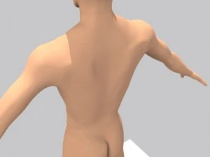 realistic male character 3D Model