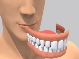 realistic male character 3D Model