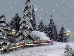 winter pine park 3D Model