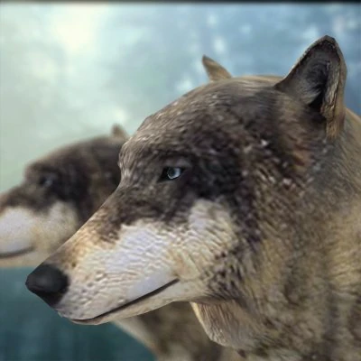 wolf 3D Model .c4d .max .obj .3ds .fbx .stl .blend 