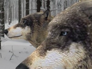 wolf 3D Модель