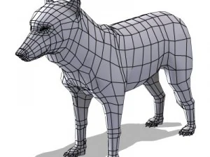 wolf 3D Model