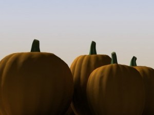 pumpkins 3D Model
