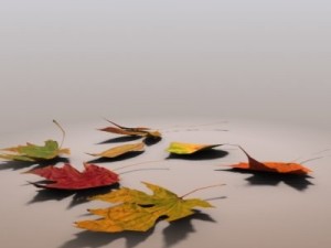 autumn leaves Model 3D