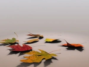 autumn leaves 3D Model