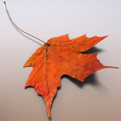 Autumn Leaves 3D Модель In Деревья 3DExport