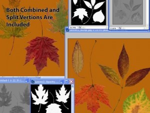 autumn leaves Model 3D