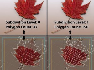 autumn leaves Model 3D