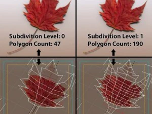 autumn leaves 3D Model