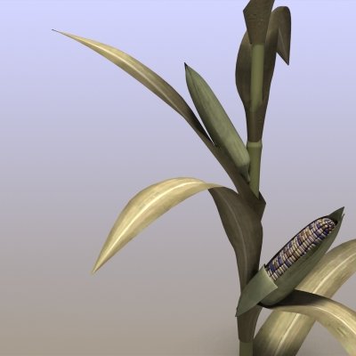 indian corn Modelo 3D .c4d .max .obj .3ds .fbx .stl .blend 