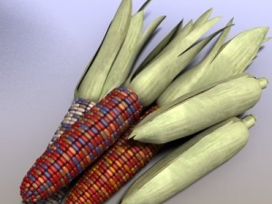 indian corn Modelo 3D