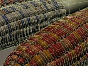 mais indiano Modello 3D