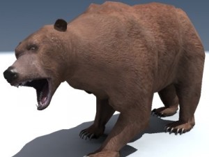 grizzly bear rigged Modello 3D