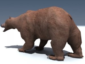 grizzly bear rigged 3D Model
