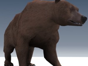 grizzly bear rigged 3D Model