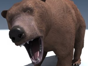 grizzly bear rigged 3D Model