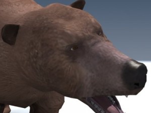 grizzly bear rigged 3D Model