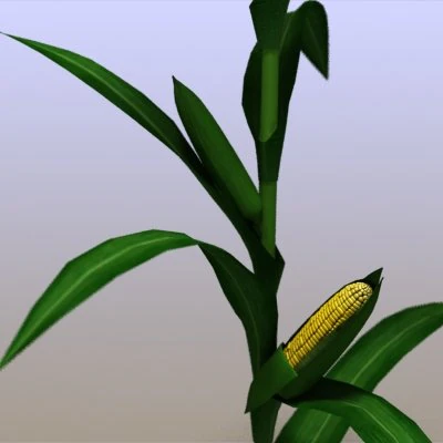 mais Modello 3D .c4d .max .obj .3ds .fbx .stl .blend 