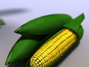 corn 3D Model