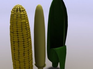 corn 3D Model