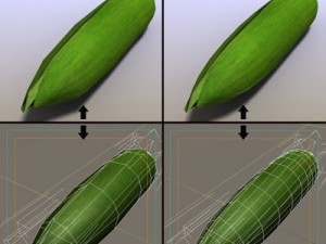 corn 3D Model