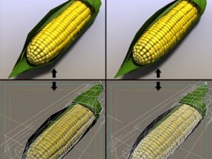 corn 3D Model