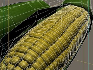 corn 3D Model