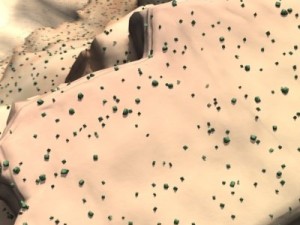 canyon Model 3D