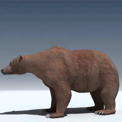 orso grizzly Modello 3D .c4d .max .obj .3ds .fbx .stl .blend 