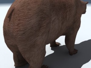 grizzly bear 3D 모델