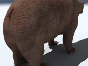 orso grizzly Modello 3D