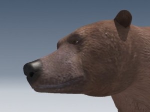 grizzly bear 3D 모델