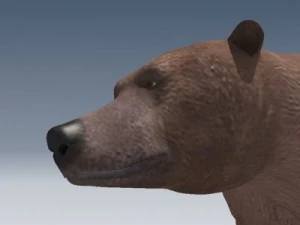 orso grizzly Modello 3D