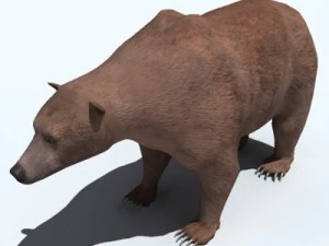 orso grizzly Modello 3D