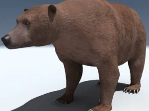 orso grizzly Modello 3D