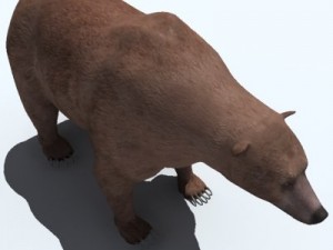 grizzly bear 3D 모델