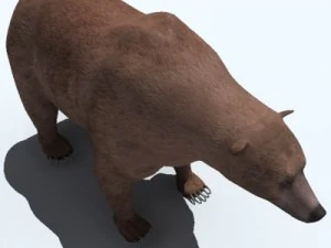 orso grizzly Modello 3D