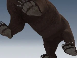 orso grizzly Modello 3D