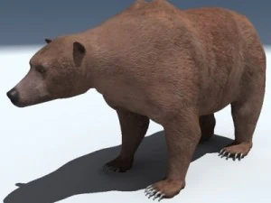 orso grizzly Modello 3D